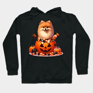 Pomeranian in Halloween squash Hoodie